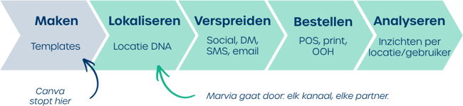 Canva vs Marvia NL
