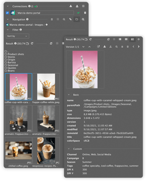 InDesign Integration Marvia