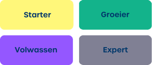 Local marketing maturity matrix levels