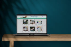 brand portal viamar copy