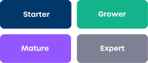 distributed marketing maturity matrix levels