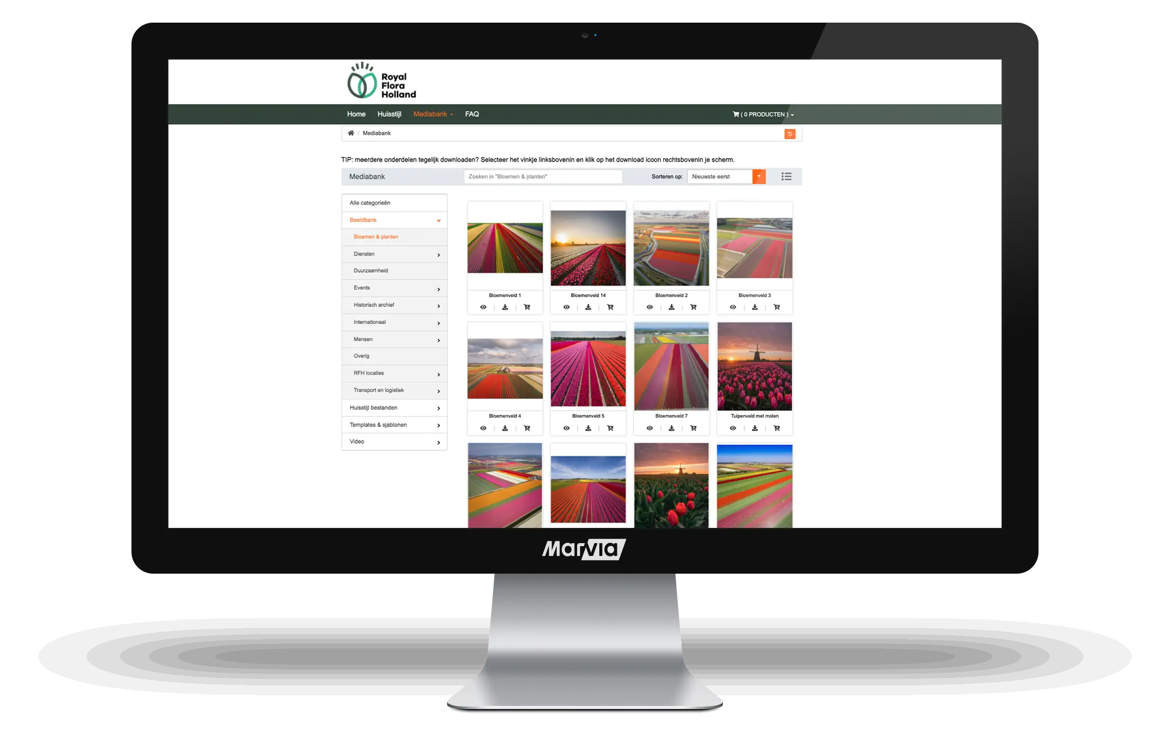 Royal FloraHolland Brand Portal Marvia